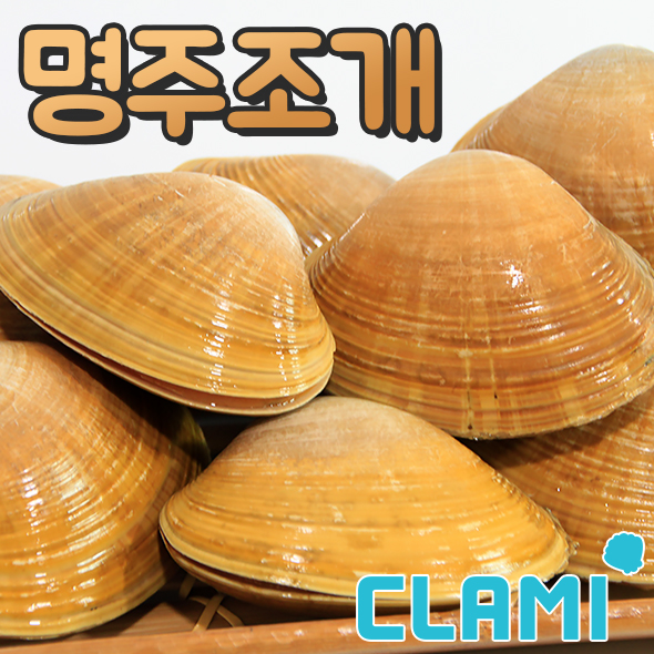 [클래미] 남해안 명주조개 갈미조개 (1kg) : 클래미