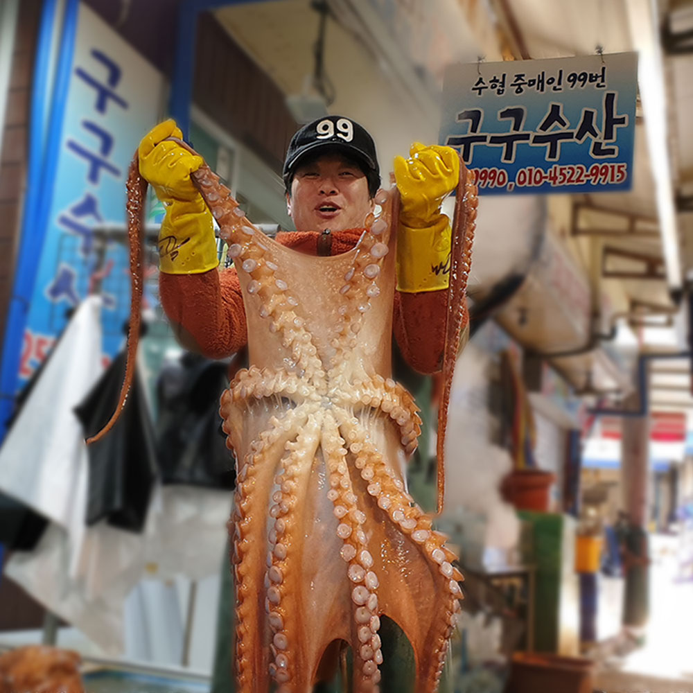 구구수산 포항수협지정중매인99번 동해안 자숙 참문어 피문어 숙회 1kg 5kg 10kg : 구구수산