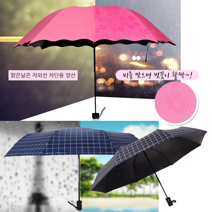 비오면벚꽃변한 플라워 우산 체크3단 자동 양우산 UV 자외선차단 양산 암막방수코팅 : 미미수