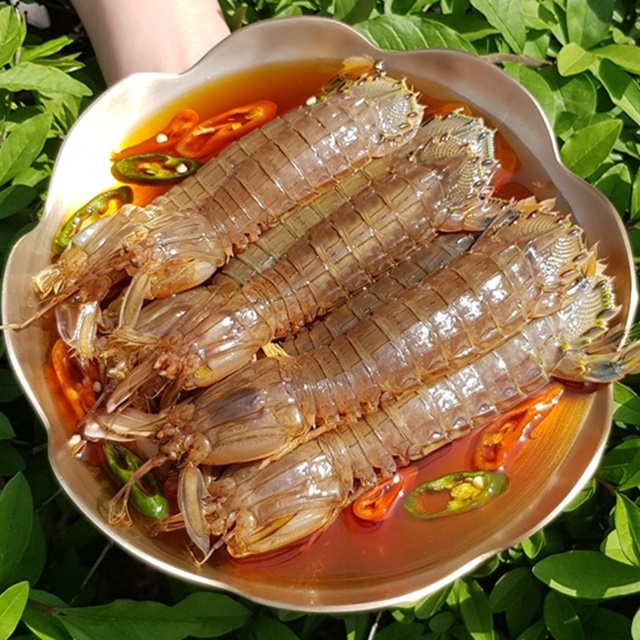 갯가재장 쏙새우장 쏙장10미전후 1kg 제홍꽃 : 제철홍어무침꽃게장
