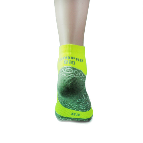 [COMPRO] 컴프로 바이오 형광 : 코호시스 몰