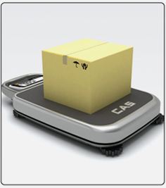 카스 PB-30 이동형저울 체중계 농업용저울 물류 택배 30kg : 전자저울 종합몰