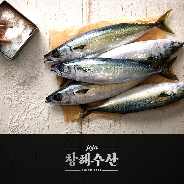 [산지직송] 제주 명품 대왕 손질 간 고등어살 : 제주 창해수산
