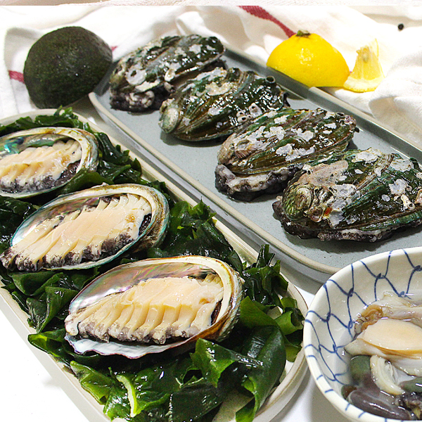 백종원 만남의 광장싱싱한 완도산 전복1kg(10~12미) : 통영바다수산