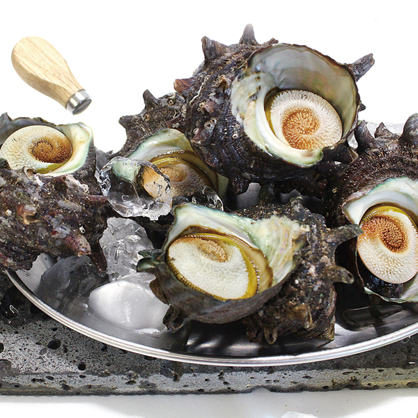 당일 작업한 싱싱한 뿔소라(중)7~12미1kg : 통영바다수산