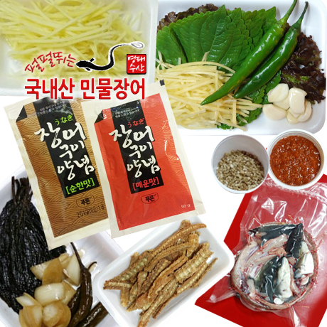 펄펄 살아있는 활 민물장어 1kg : 백야민물장어