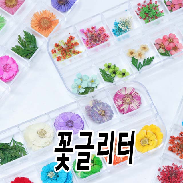 살랑청순 꽃글리터 네일 아트 재료 드라이 플라워 압화 TN453283C6 넾릉밧둔 : 마이네일