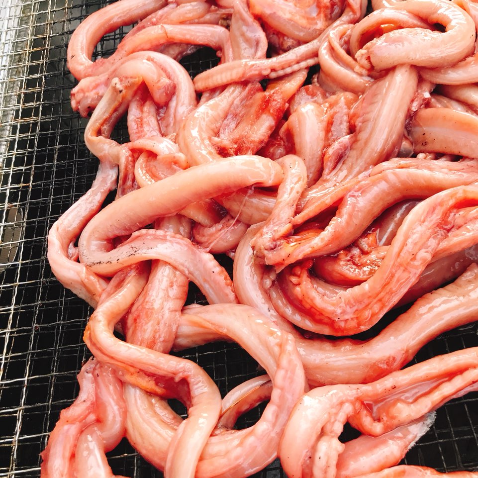 바다냄새 냉동 꼼장어 1팩 약1kg 손질 세척 냉동된 수입곰장어 : 바다냄새