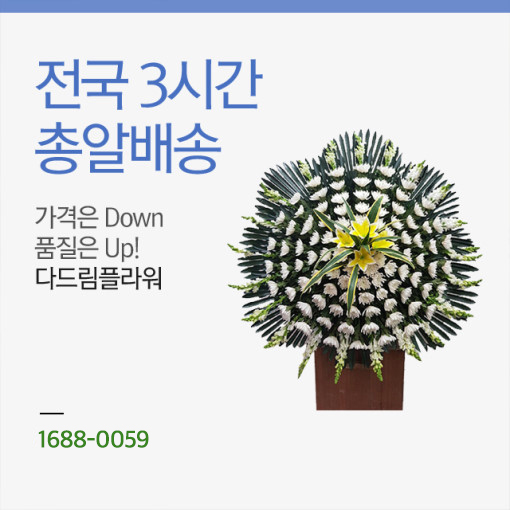 장례식장 전국 화환배달 꽃배달 : 다드림플라워