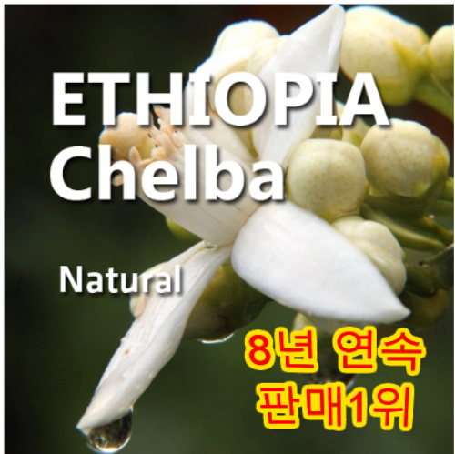 로스팅반 에티오피아 예가체프 G1 원두커피 100g 첼바 내추럴 분쇄도 선택 : 사랑의 줄잇기