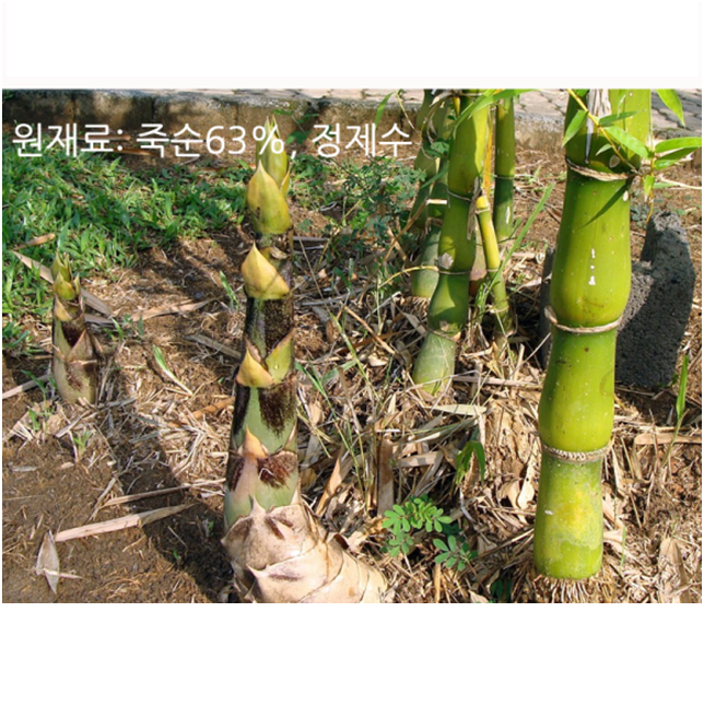 화풍 죽순캔 편 2.8kg 중화요리 해물누룽지탕 중국요리 죽순통조림 : 나래 식자재