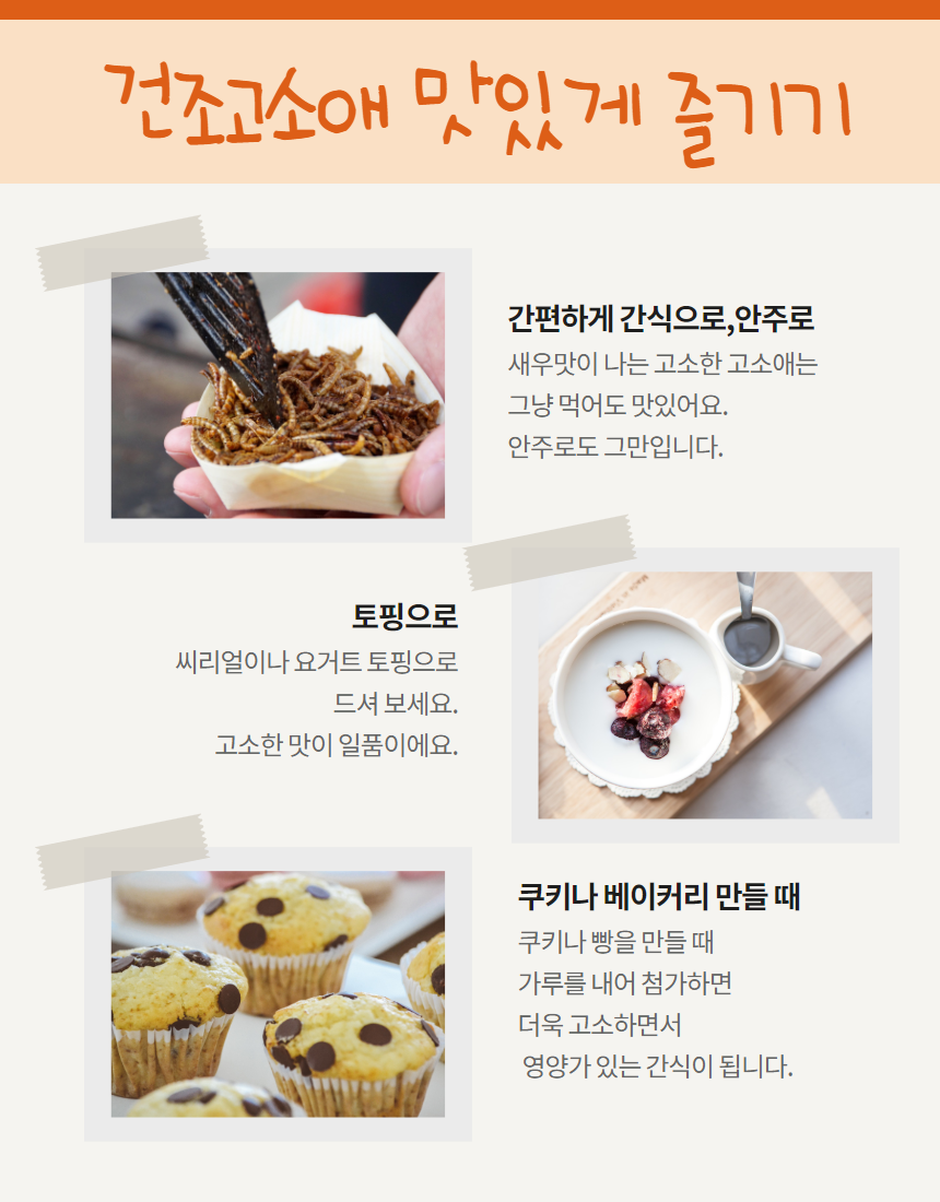 벅스푸드 건조 고소애 120g (밀웜 100%) 식용곤충 환자식 건조밀웜 : 유유상회