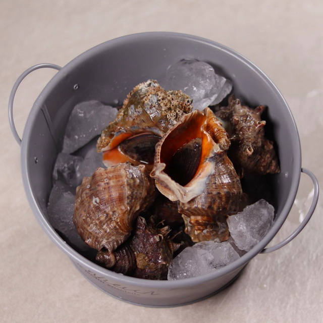 자갈치시장 해광상회 참소라 1kg : 자갈치시장 고민숙