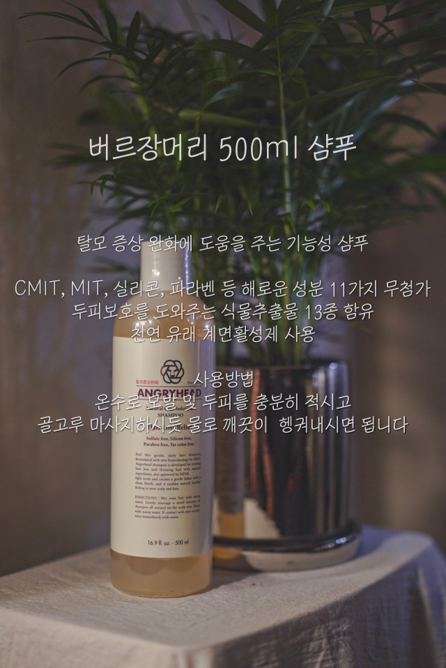버르장머리 프리미엄 탈모증상완화 샴푸 500ml : 현이 필름