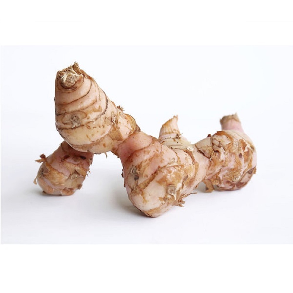 생 갈랑갈 1kg, 4개 : 알라딘푸드