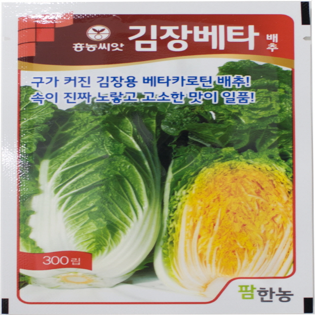 김장베타 배추(300립) / 구가 커진 김장용 베타카로틴 배추! / 속이 진짜 노랗고 고소한 맛이 일품! : 흥농종묘사흥농아그로흥농TV
