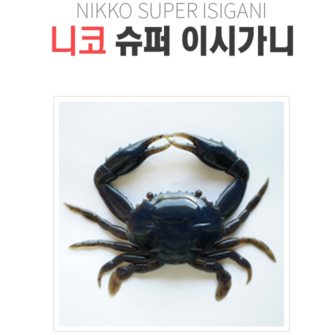 니코 슈퍼 이시가니 슈퍼 크랩 6인치 크랩 이시가니 문어루어 바다루어 : 삼정무역
