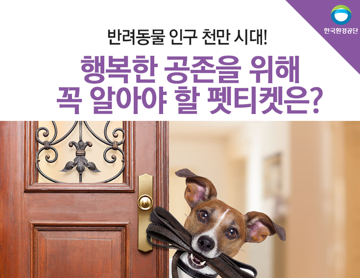 반려견 차량 스티커 : 누벨바그N