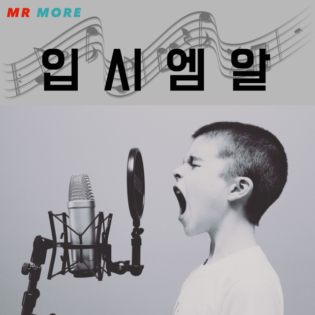 입시엠알 : 엠알모어