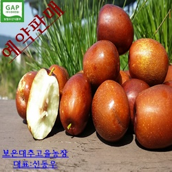 보은황토생대추 4호/28mm/1kg (예약 10월10일 발송 시작합니다) : 보은대추고을농장