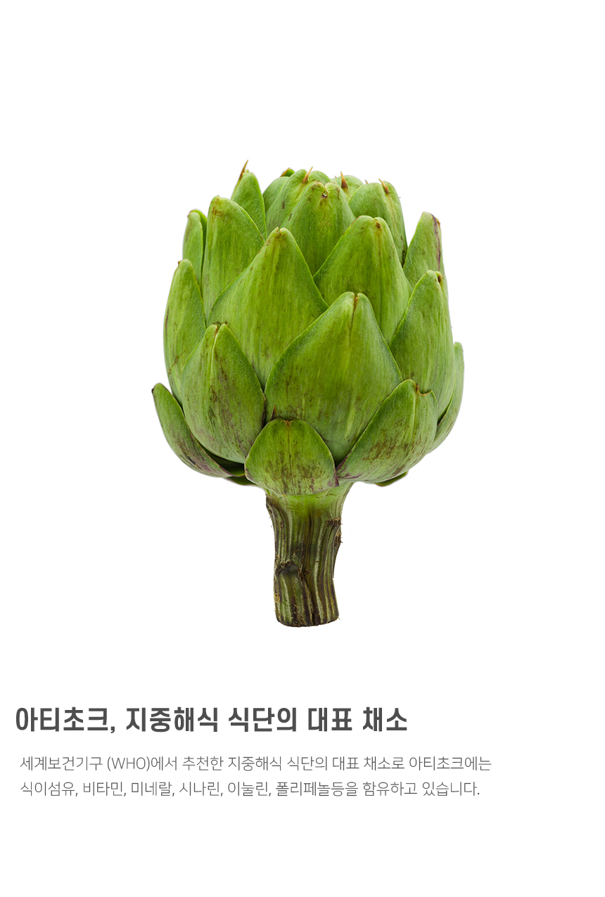 아티초코 아티초크 차 추출 분말 효능  아티쵸크 아티소  간편한 스틱형 : Daitssu