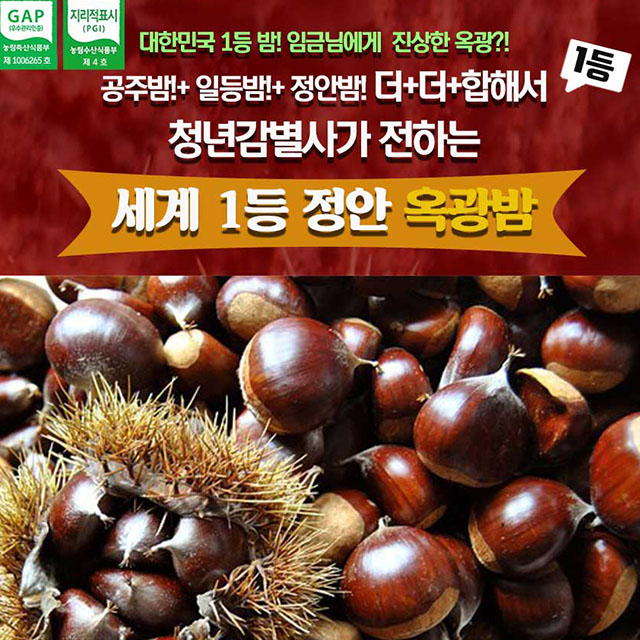 공주 정안 옥광 햇 밤 고소함 생밤 산지직송 4Kg : 리빙꾸미