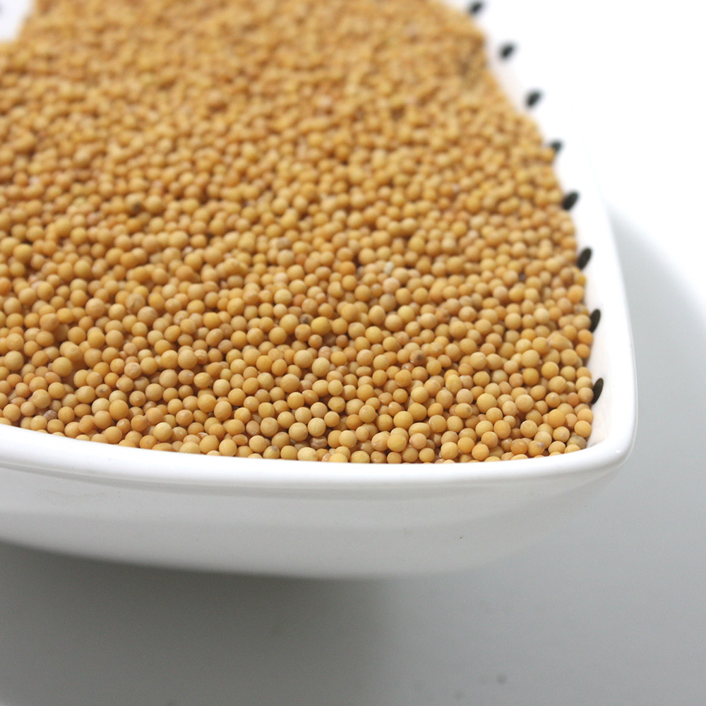 인차 겨자씨 500g : 인차