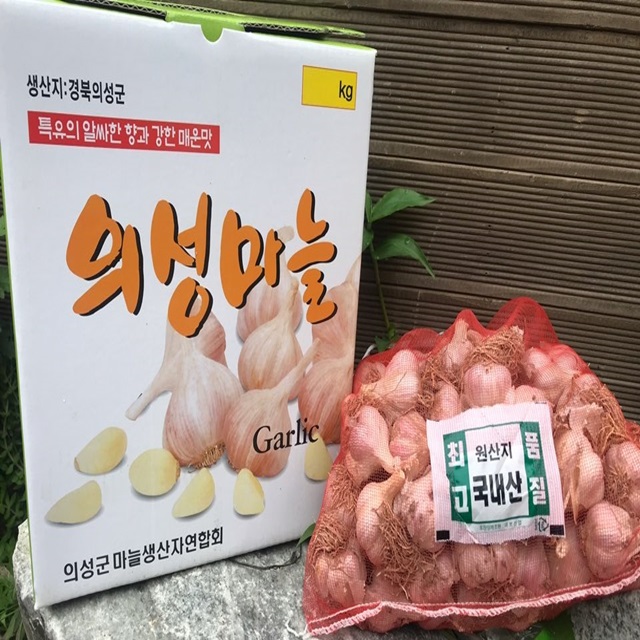 [4cm제품]2019년 의성마늘 토종마늘 햇마늘 씨마늘판매 : 품농