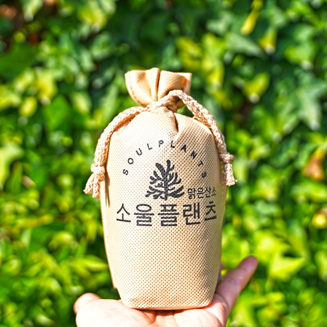 소울플랜츠 탄화코르크 집안 홀애비 화장실 담배 방 냄새제거 : 소울플랜츠