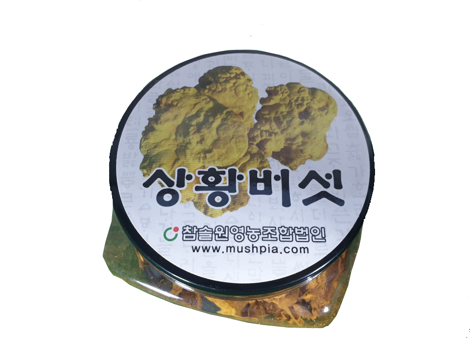 청조농산의 자연이 주는 선물 건버섯 3종세트 : 청조 올바른 먹거리