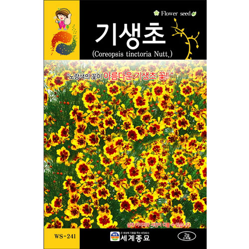 기생초 씨앗 꽃씨 종자 꽃씨앗 야생화 야생초 씨 2g : 가람원