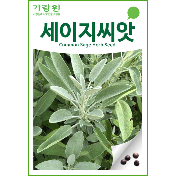 세이지 씨앗 허브씨앗 허브씨 향신료 종자 씨 50알 : 가람원