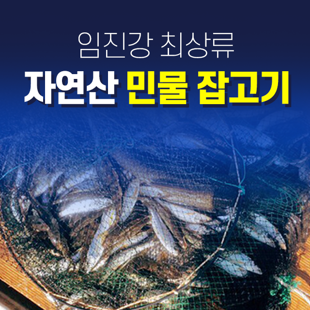 [임진강 최상류] 어부가 직접잡는/ 자연산/ 민물고기/ 민물잡고기/ 잡어/ 500g(매운탕, 조림, 튀김)(피라미,참마자,모래무지,누치새끼,갈겨니 등... 