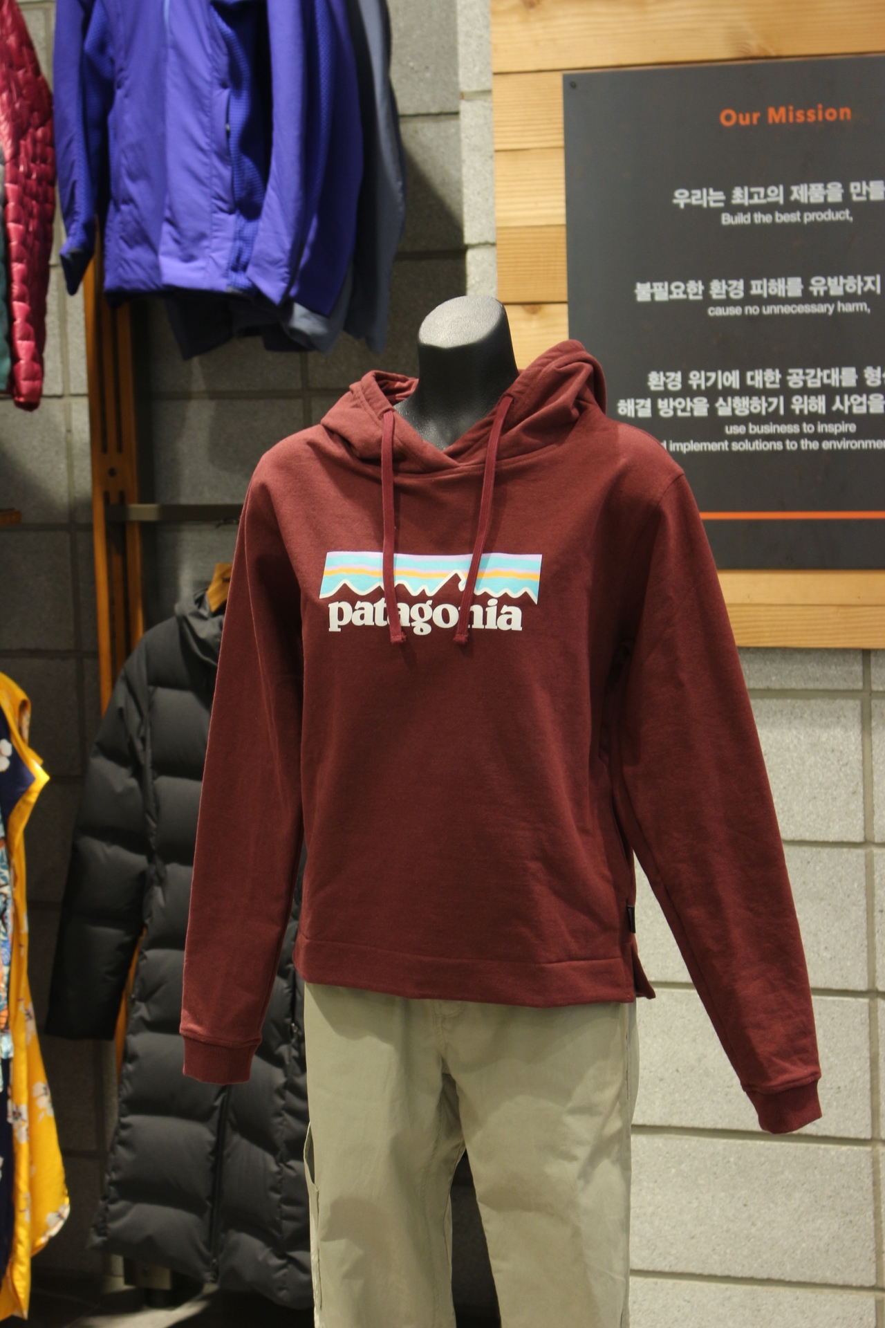 파타고니아 우먼즈 pastel P-6 로고 업라이절 후디 39557J7 : 롯데파주 파타고니아