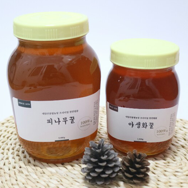 대암산꿀벌농장 자연 벌꿀 국산 피나무꿀 2.4kg : 대암산 꿀벌농장