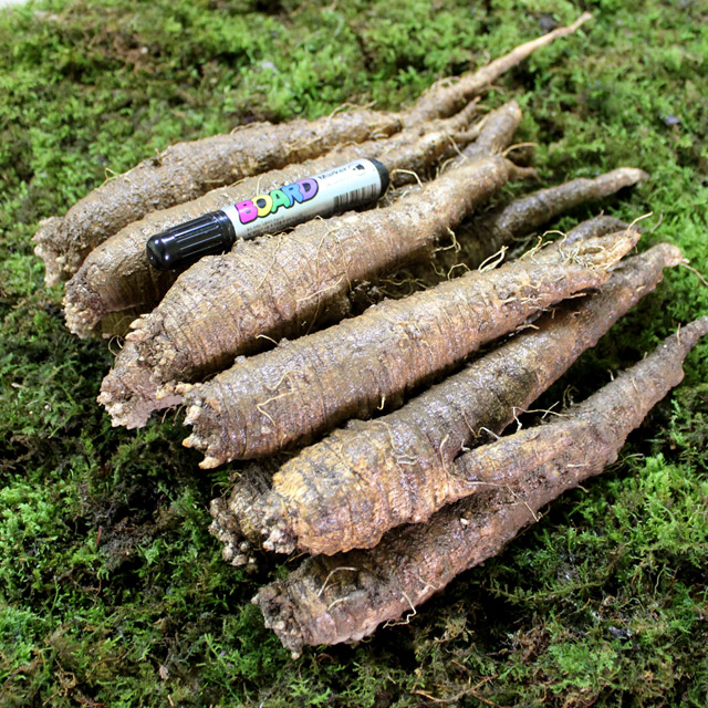더덕 특대 (1kg) : 횡성일품더덕도라지직판장