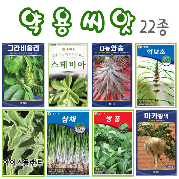 개갑인삼씨앗/와송/익모초/뱀딸기/개똥쑥/아마란스/흰민들레/아스파라거스/방풍씨앗/곰보배추/더덕/고들빼기/당귀/자소/홍화/ : 참쉬운수경재배