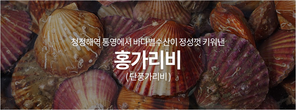 통영 비단 홍 가리비 세척 제철 1kg : 바다별수산