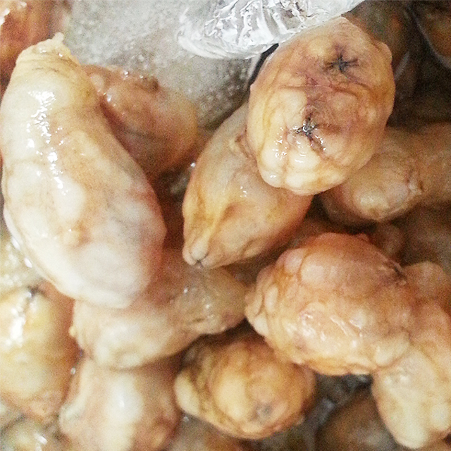통통 생물 오만둥이1kg/500g : 통영대복수산