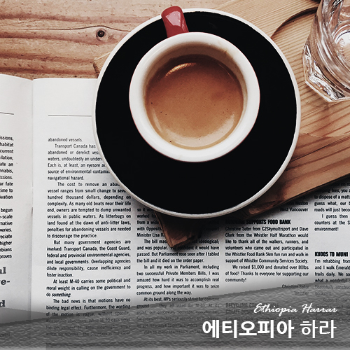 에누리커피 240g에티오피아 하라 : 에누리커피