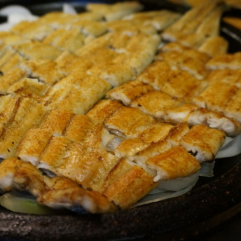보아스장어 풍천민물장어 국내산 자포니카 1kg 손질 포장 : 보아스 장어