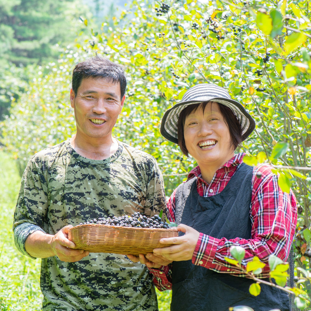 동결건조한 설산 아로니아 분말 100g x 2개 : 설산소리