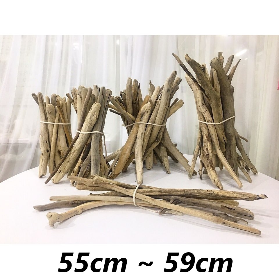 드리프트우드 55cm-59cm : 바다나무