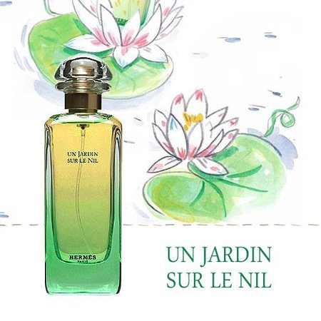 에르메스 운 자르뎅 수르닐 EDT 50ml : 향기랜드