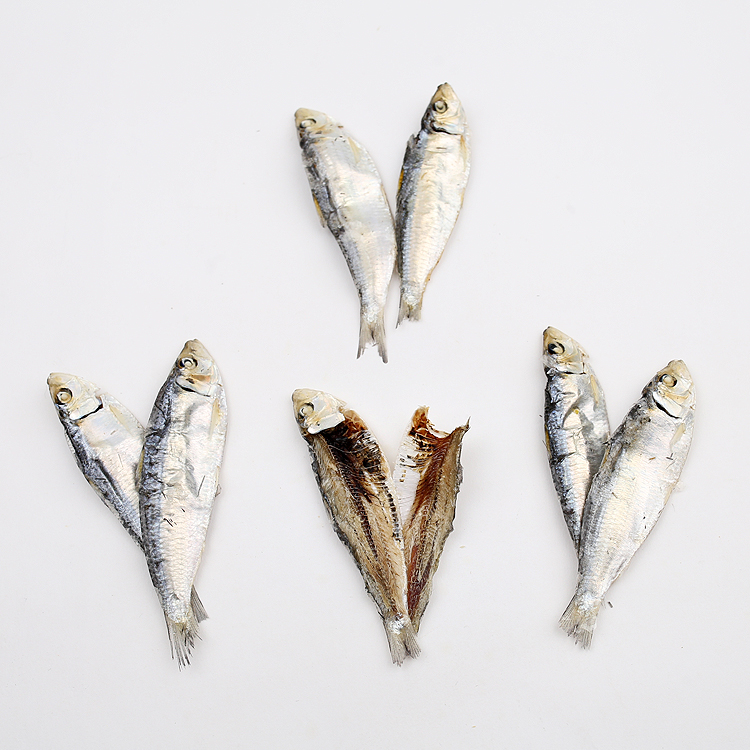 육수용 디포리 1.5kg : 건어물쇼핑몰 방자네