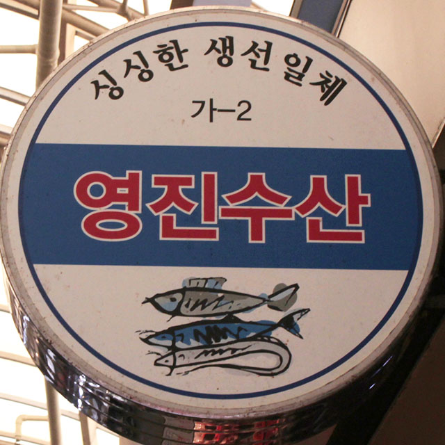 [강서구·양천구 배달] 신선하고 탱탱한 선동오징어 2마리 [화곡본동 영진수산] : 동네시장 장보기