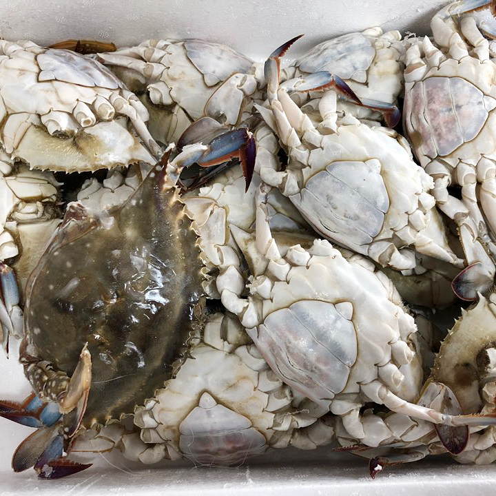 해인수산 서해안 몽당 꽃게 1kg : 다농이네