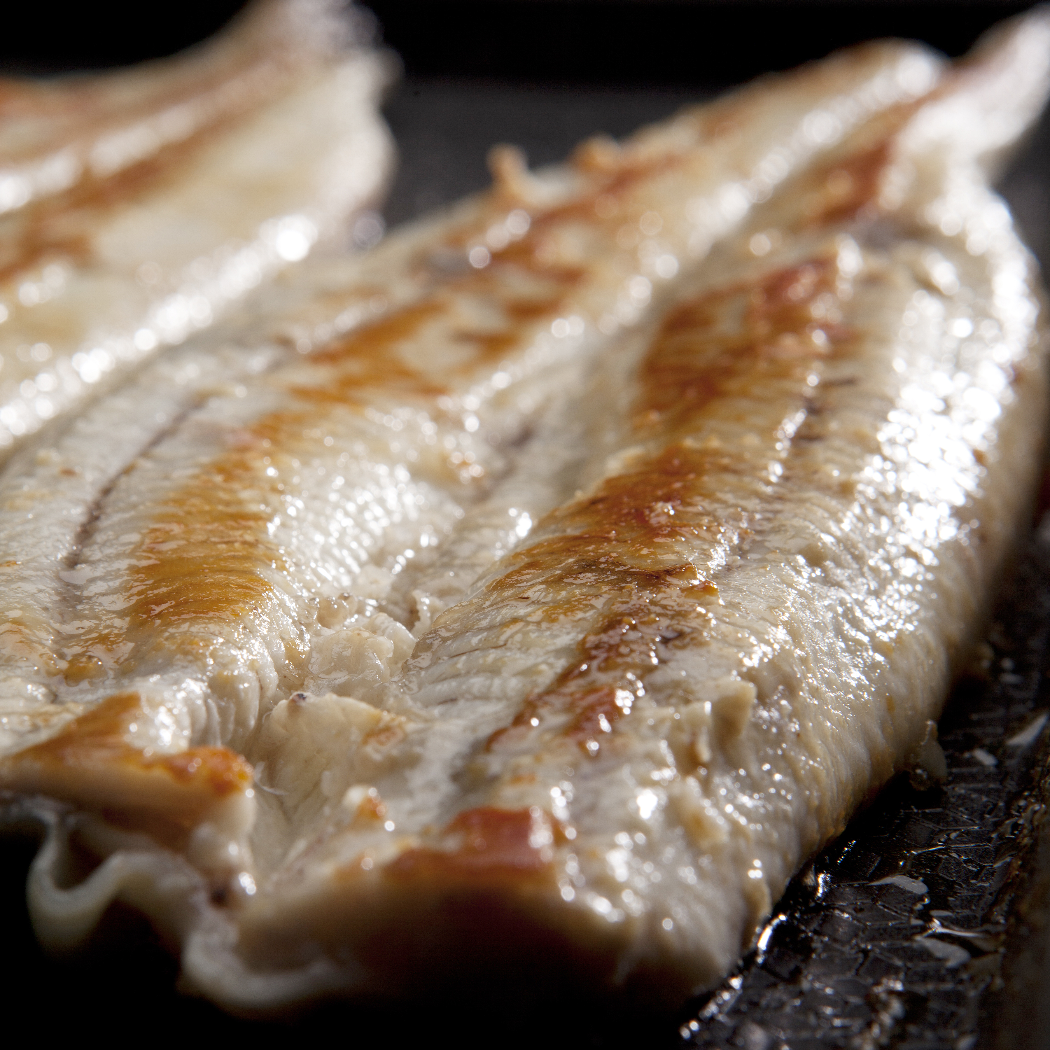 새벽장어 국산 자포니카 풍천 민물장어 1kg 손질 후 700g : 새벽장어