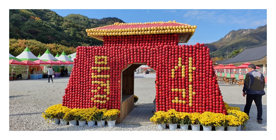 경북 문경사과 껍질째먹는 산고을농원 꿀부사 5kg : 문경사과산고을농원