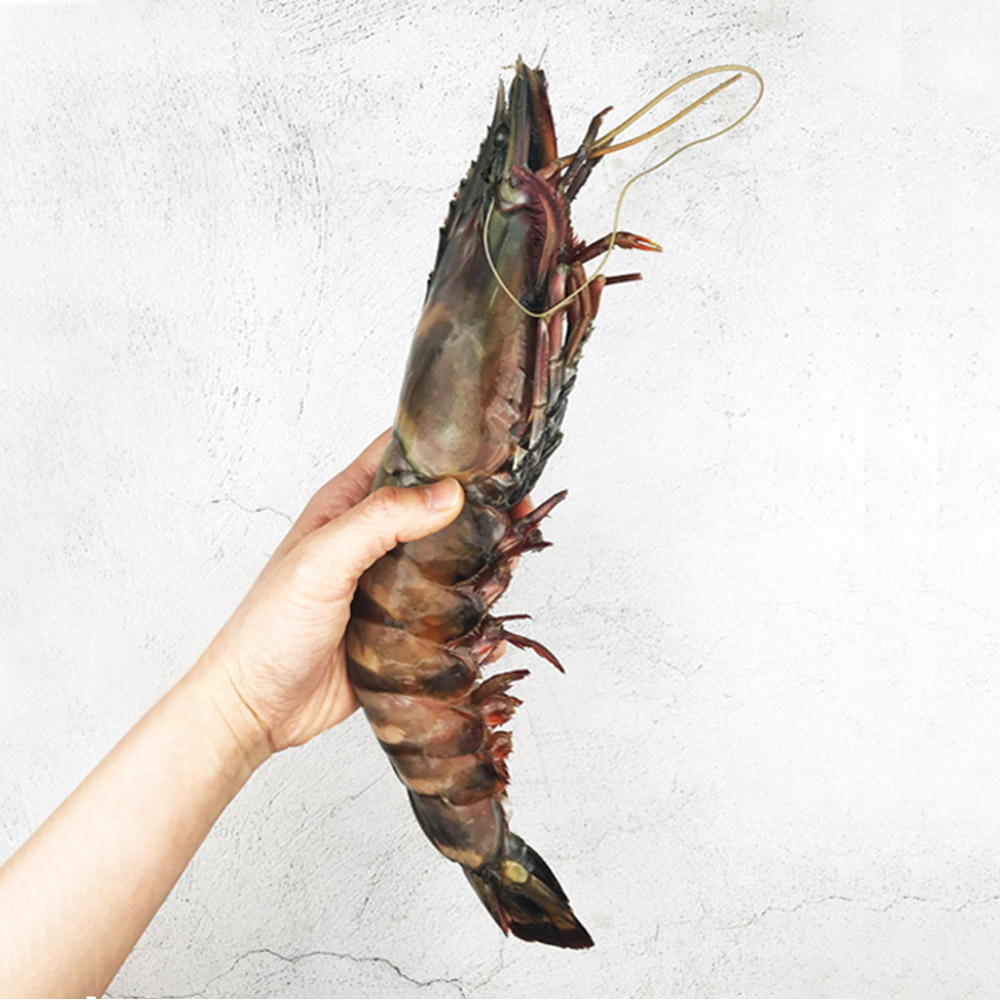 대왕 블랙타이거 새우 특대 킹 3마리 : 명품푸드